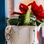 Faux Olive Trees: Stylish Charm for Your Home