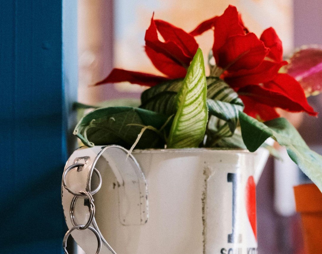 Faux Olive Trees: Stylish Charm for Your Home